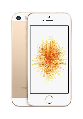 beloning straal importeren Gebruikte Apple iPhone SE 16GB kopen